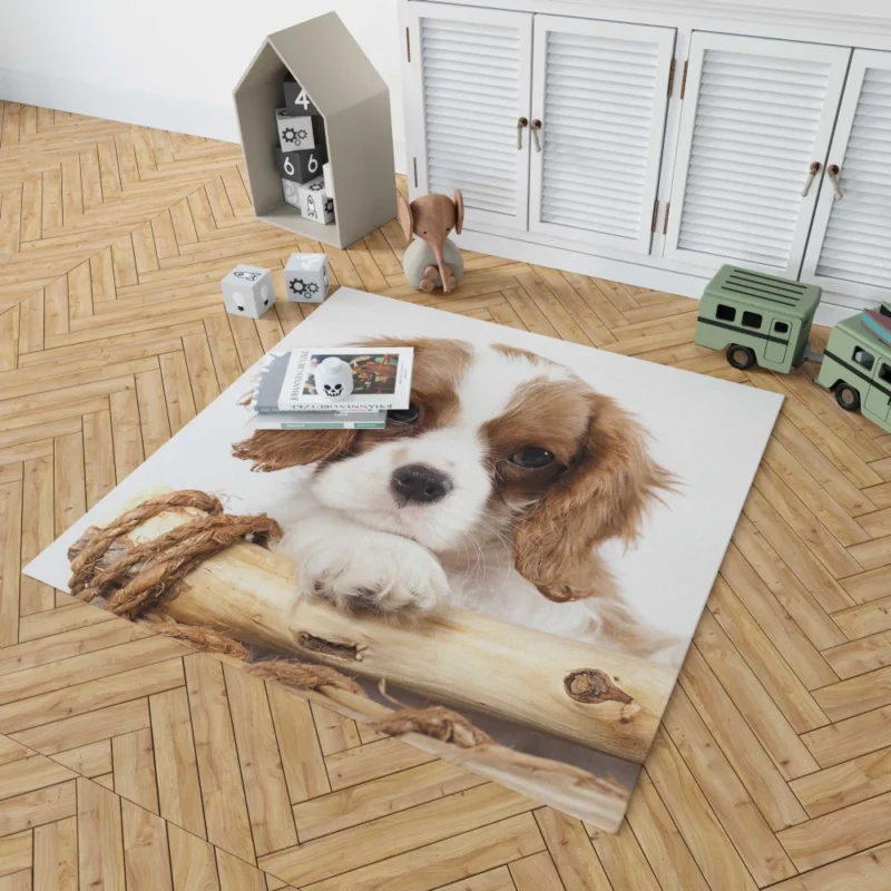 King Charles Spaniel Innocent Charm Rug 1