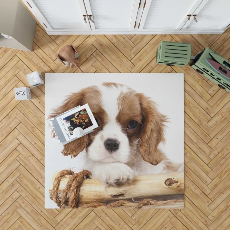 King Charles Spaniel Innocent Charm Rug