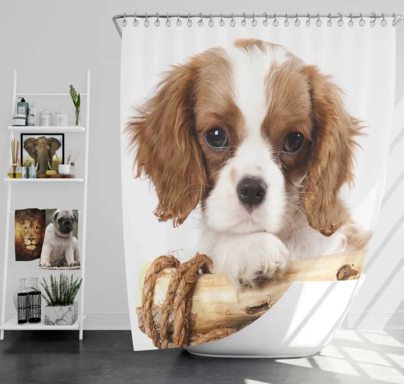 King Charles Spaniel Innocent Charm Shower Curtain