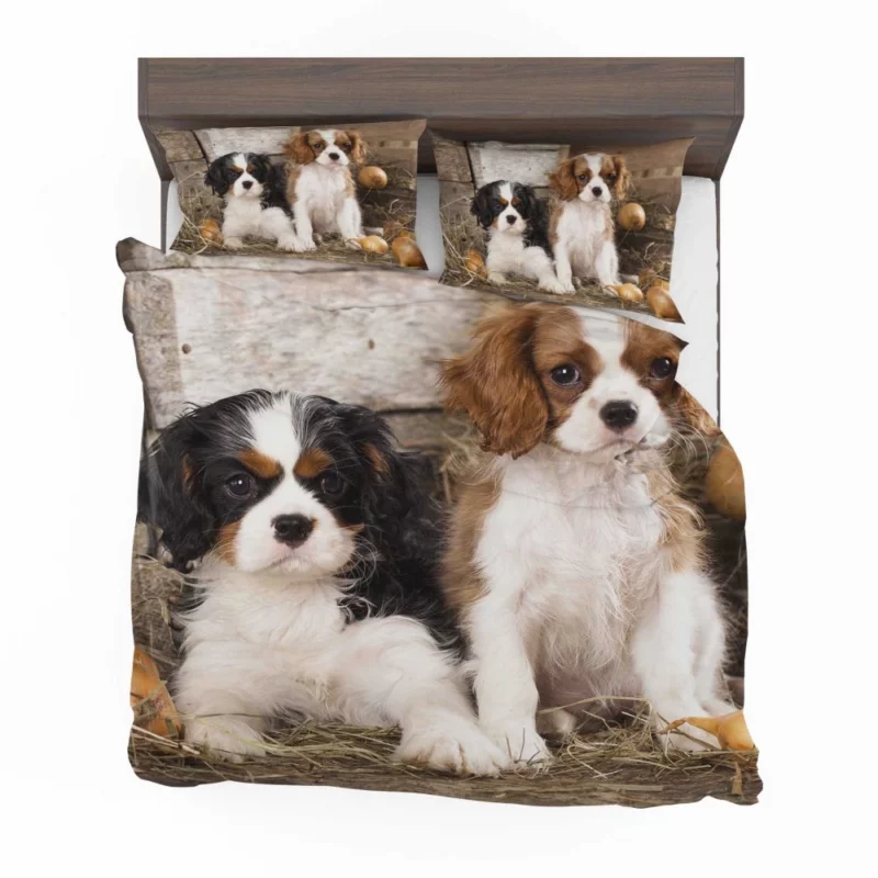 King Charles Spaniel Royal Elegance Bedding Set 1