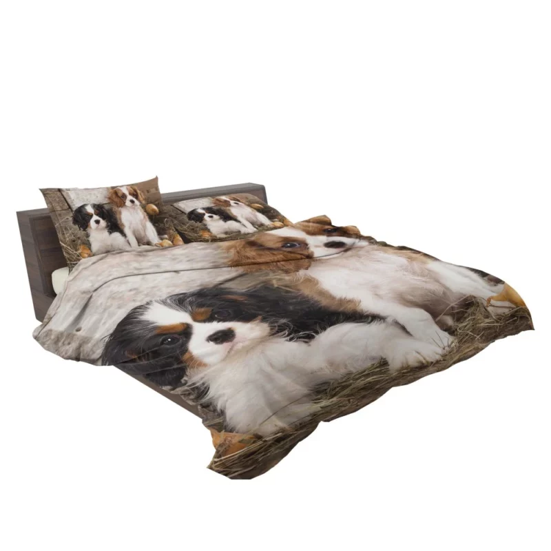 King Charles Spaniel Royal Elegance Bedding Set 2