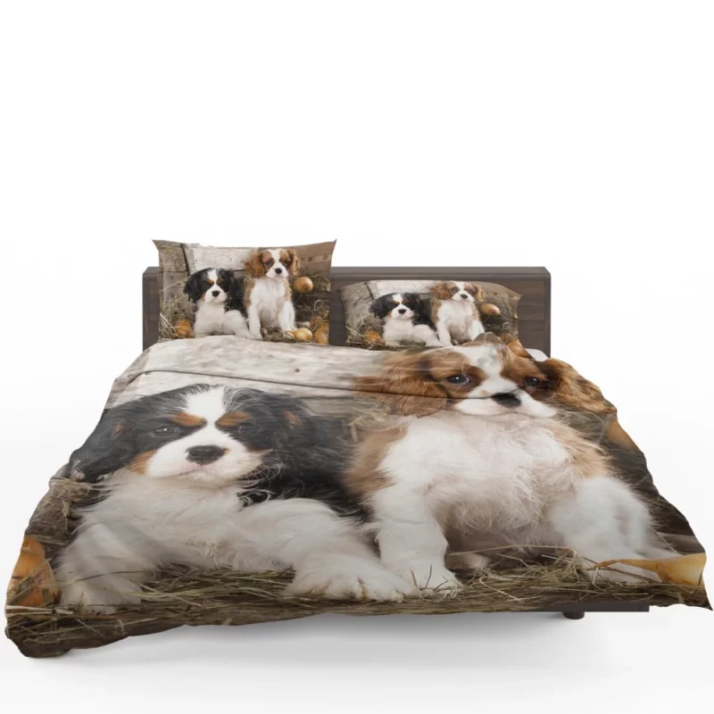 King Charles Spaniel Royal Elegance Bedding Set