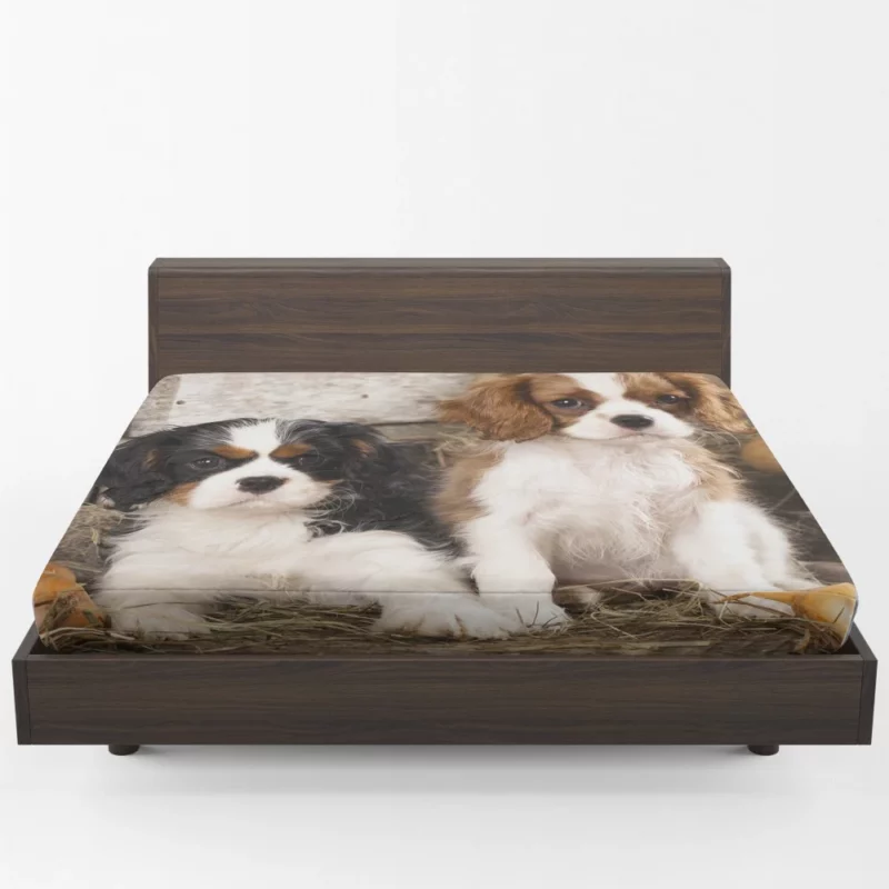 King Charles Spaniel Royal Elegance Fitted Sheet