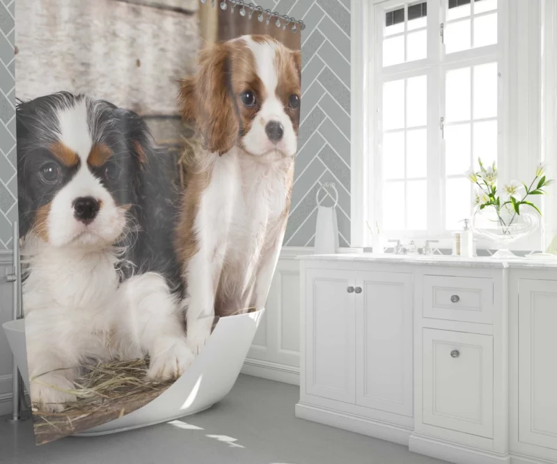 King Charles Spaniel Royal Elegance Shower Curtain 1