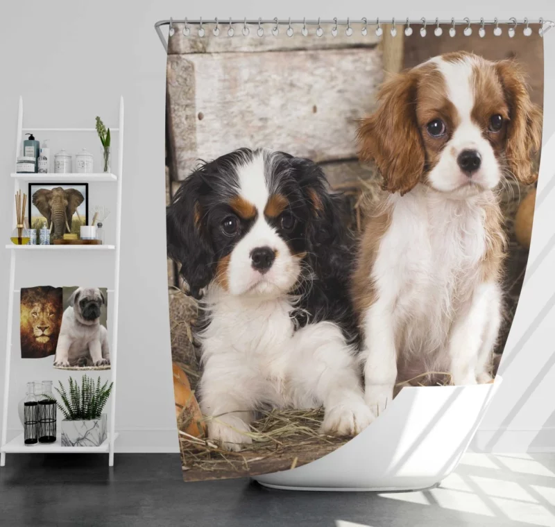 King Charles Spaniel Royal Elegance Shower Curtain