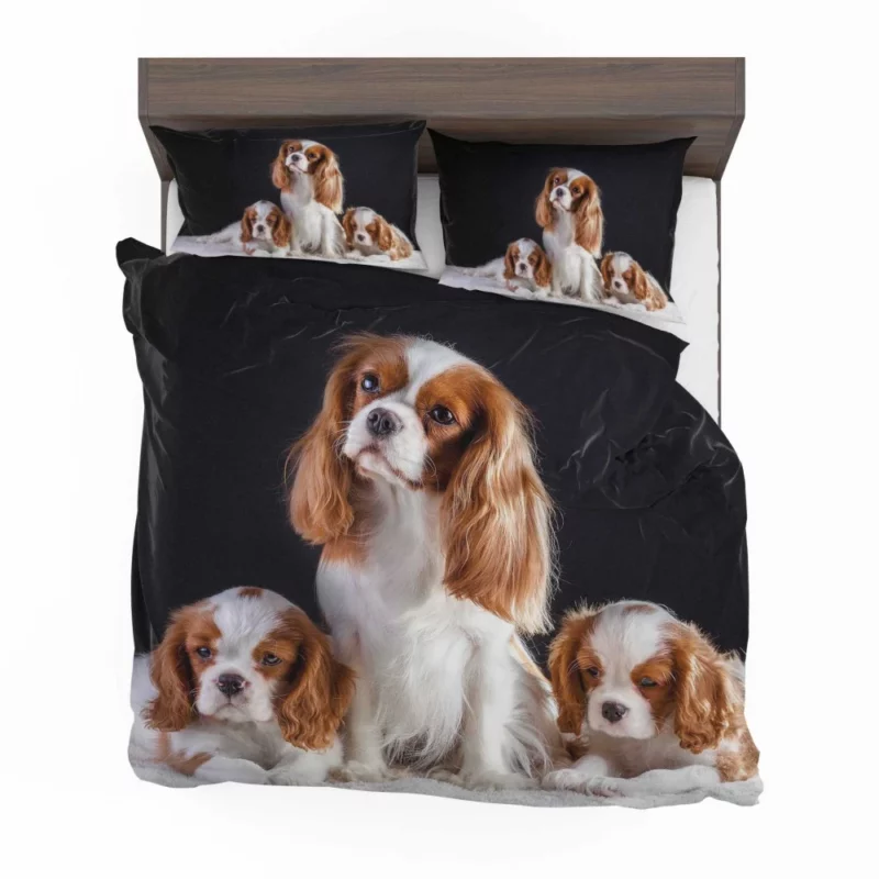 King Charles and Puppies Furry Bliss Bedding Set 1