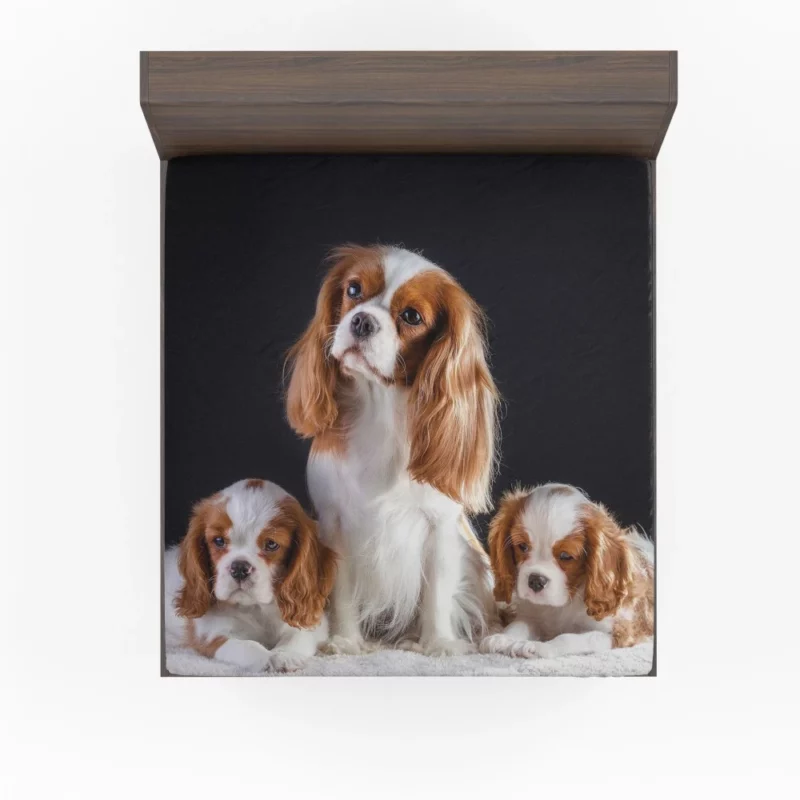 King Charles and Puppies Furry Bliss Fitted Sheet 1