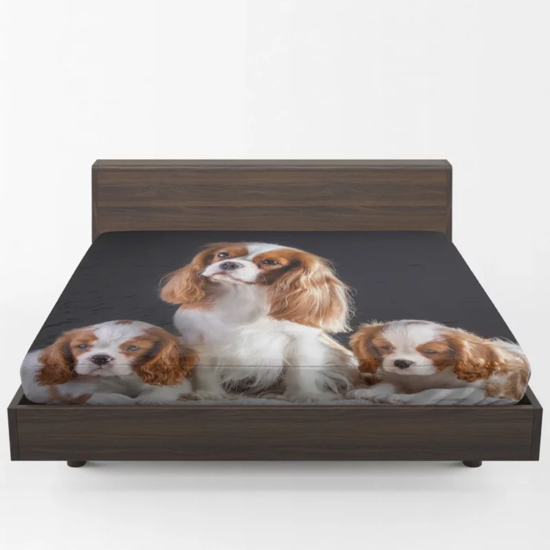 King Charles and Puppies Furry Bliss Fitted Sheet