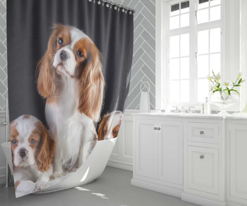 King Charles and Puppies Furry Bliss Shower Curtain 1