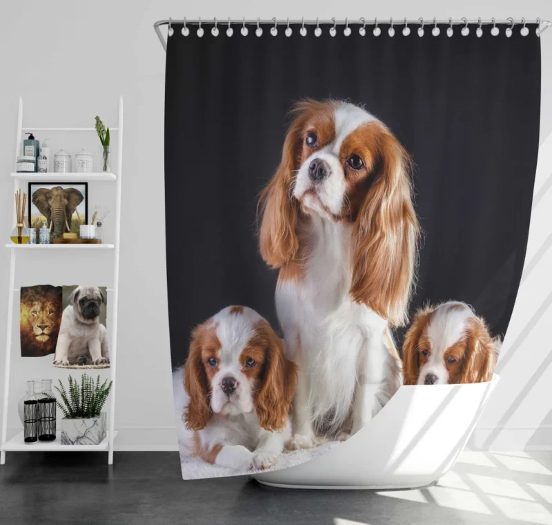 King Charles and Puppies Furry Bliss Shower Curtain