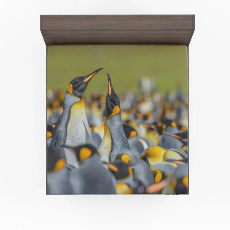 King Penguin in Icy Blur Avian Majesty Fitted Sheet 1