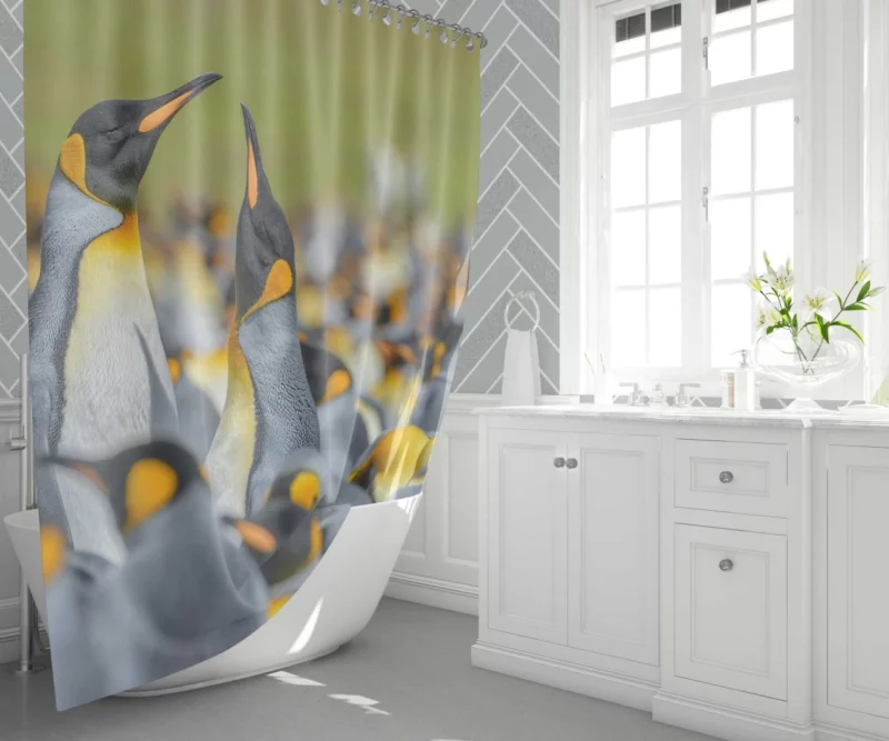 King Penguin in Icy Blur Avian Majesty Shower Curtain 1