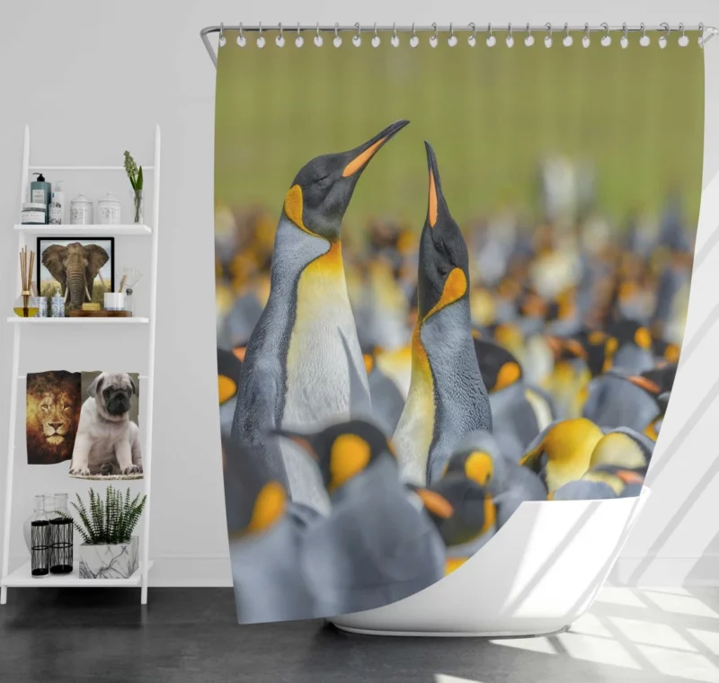 King Penguin in Icy Blur Avian Majesty Shower Curtain