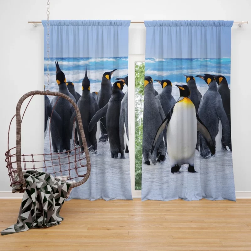 King Penguins Oceanic Splendor Curtain