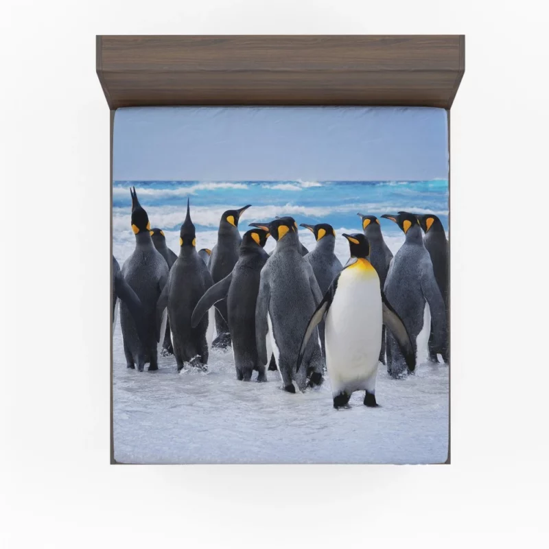 King Penguins Oceanic Splendor Fitted Sheet 1