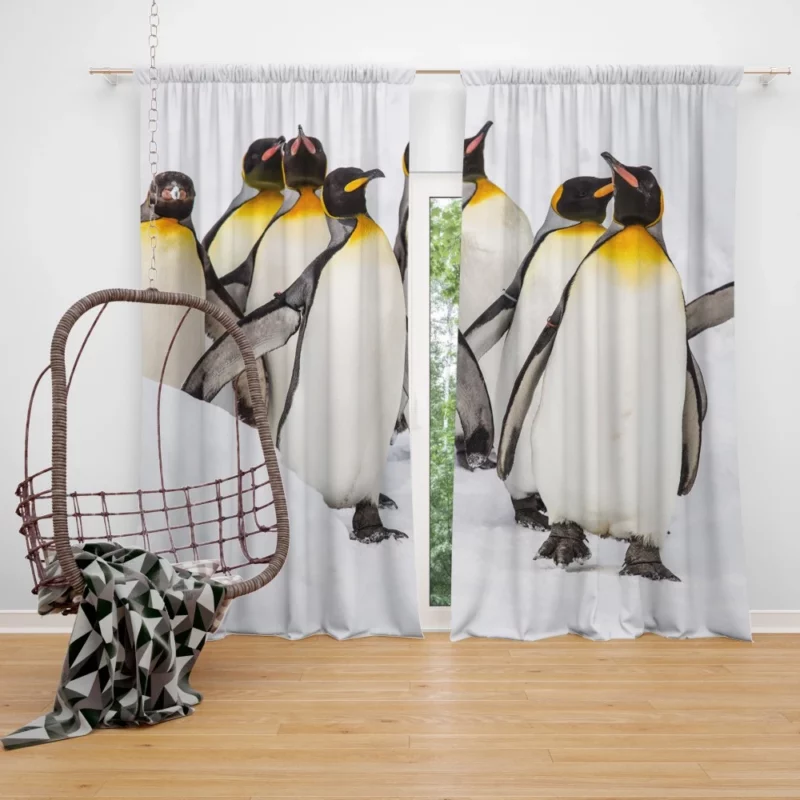 King Penguins in Majestic Form Regal Beauty Curtain