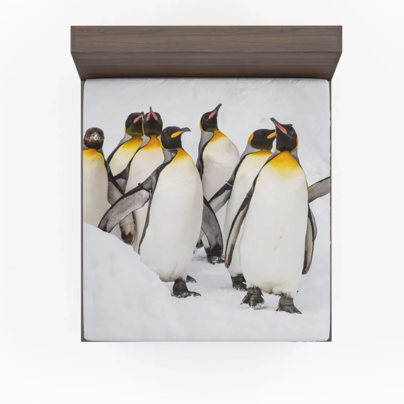 King Penguins in Majestic Form Regal Beauty Fitted Sheet 1