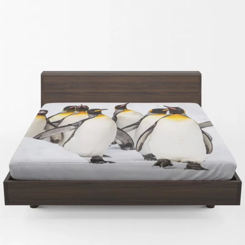 King Penguins in Majestic Form Regal Beauty Fitted Sheet