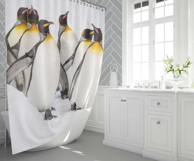 King Penguins in Majestic Form Regal Beauty Shower Curtain 1