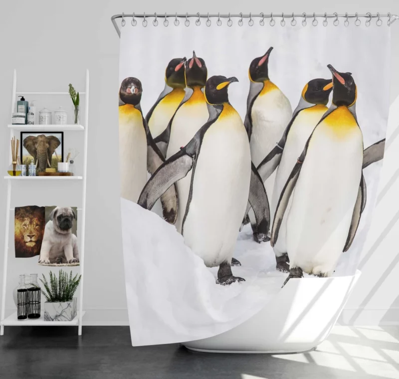 King Penguins in Majestic Form Regal Beauty Shower Curtain