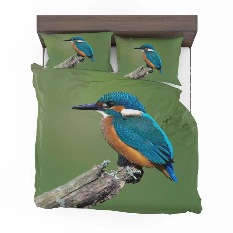 Kingfisher Aquatic Gaze River Watch Bedding Set 1