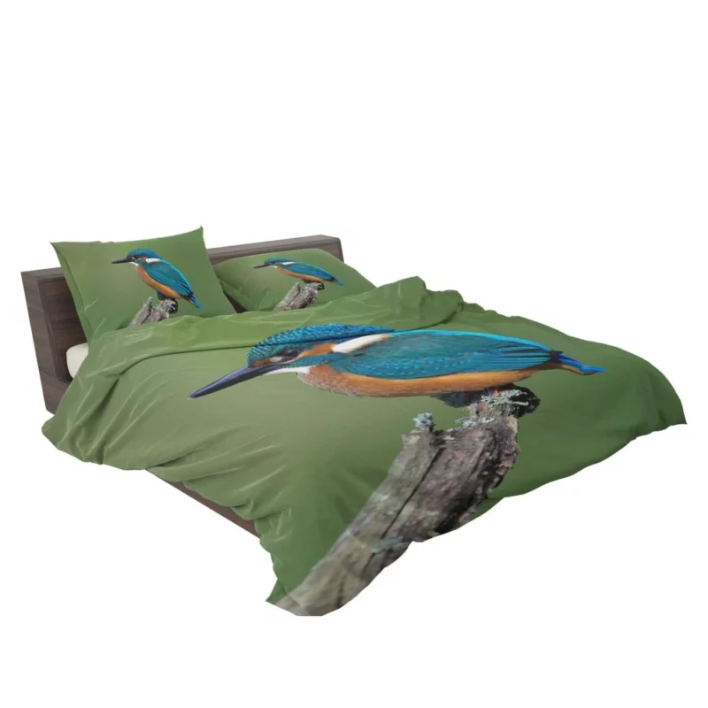 Kingfisher Aquatic Gaze River Watch Bedding Set 2