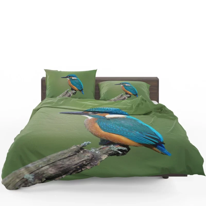 Kingfisher Aquatic Gaze River Watch Bedding Set