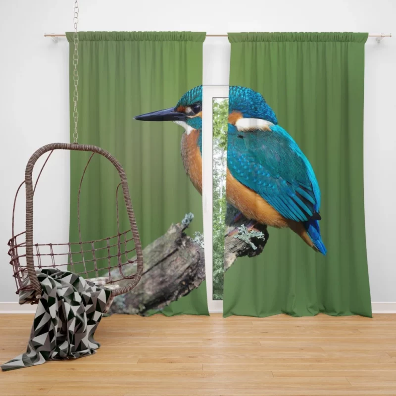 Kingfisher Aquatic Gaze River Watch Curtain