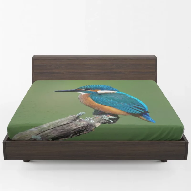 Kingfisher Aquatic Gaze River Watch Fitted Sheet