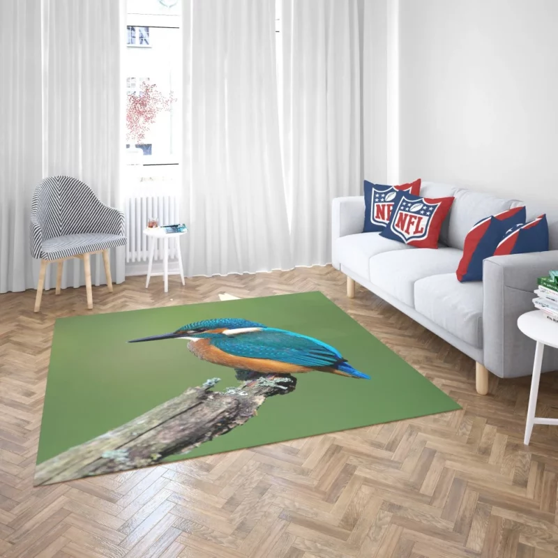 Kingfisher Aquatic Gaze River Watch Rug 2