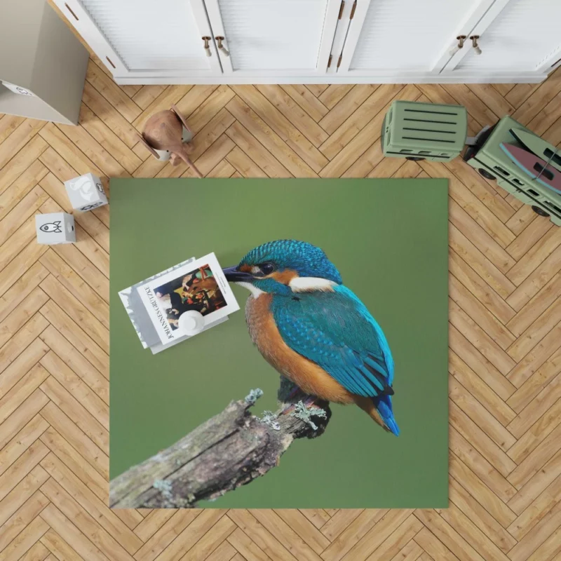 Kingfisher Aquatic Gaze River Watch Rug