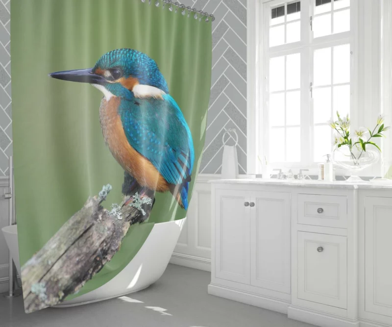 Kingfisher Aquatic Gaze River Watch Shower Curtain 1