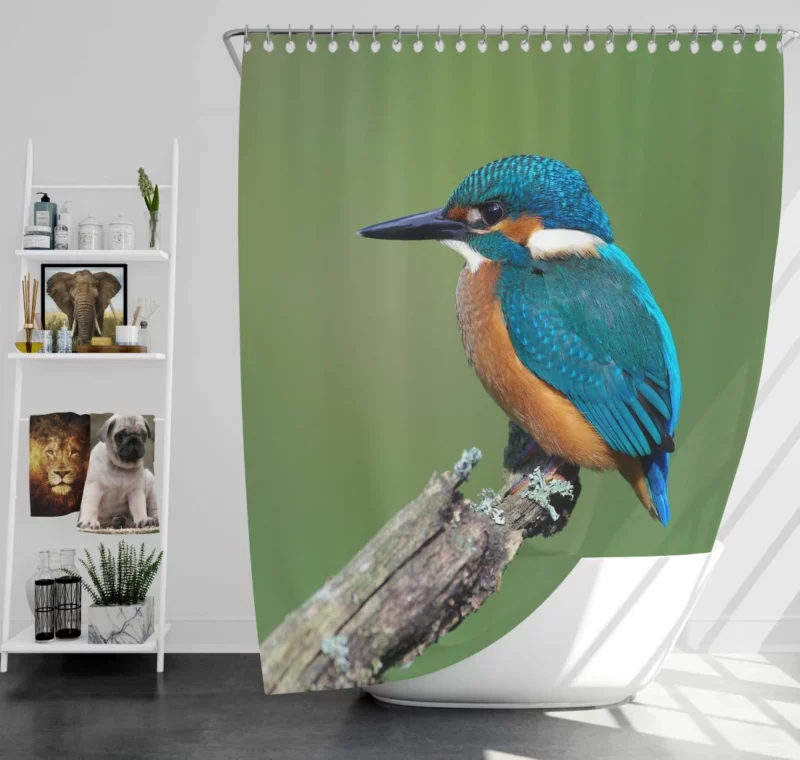 Kingfisher Aquatic Gaze River Watch Shower Curtain