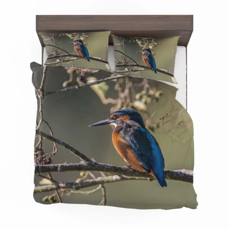 Kingfisher Aquatic Pose River Beauty Bedding Set 1