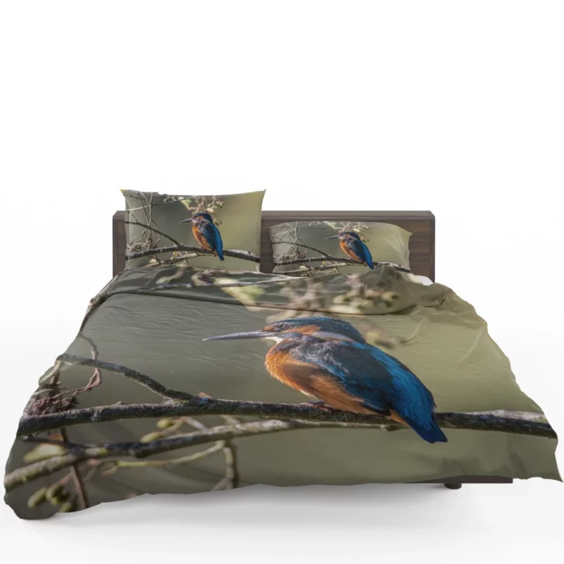 Kingfisher Aquatic Pose River Beauty Bedding Set