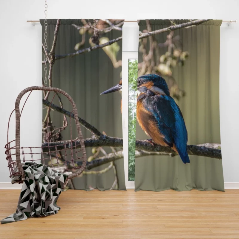 Kingfisher Aquatic Pose River Beauty Curtain