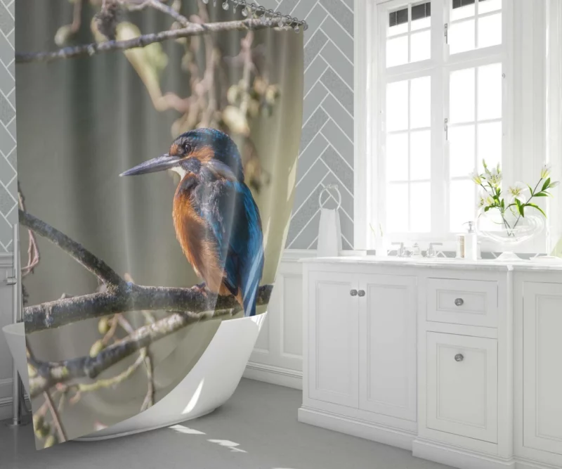 Kingfisher Aquatic Pose River Beauty Shower Curtain 1