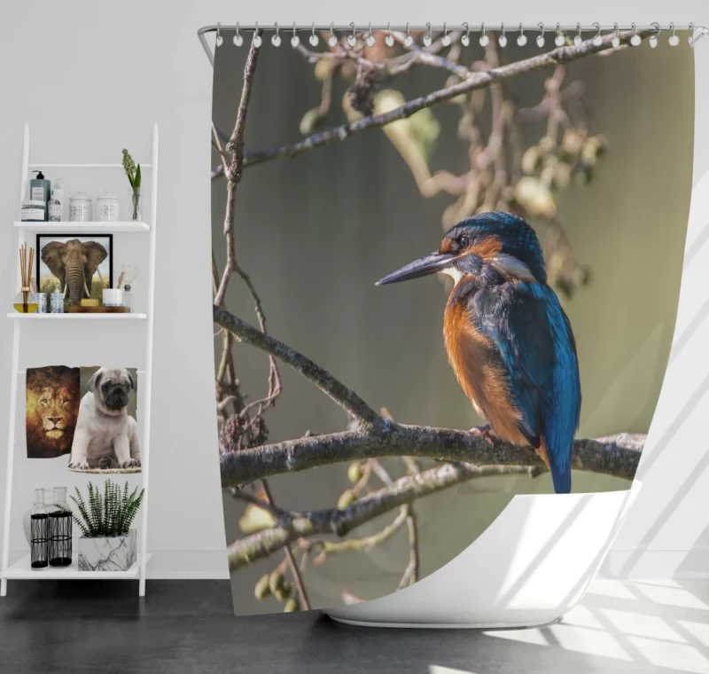 Kingfisher Aquatic Pose River Beauty Shower Curtain