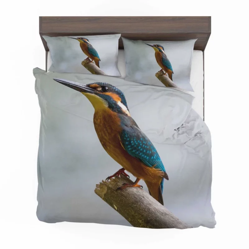 Kingfisher Waterside Charm Aquatic Wonder Bedding Set 1