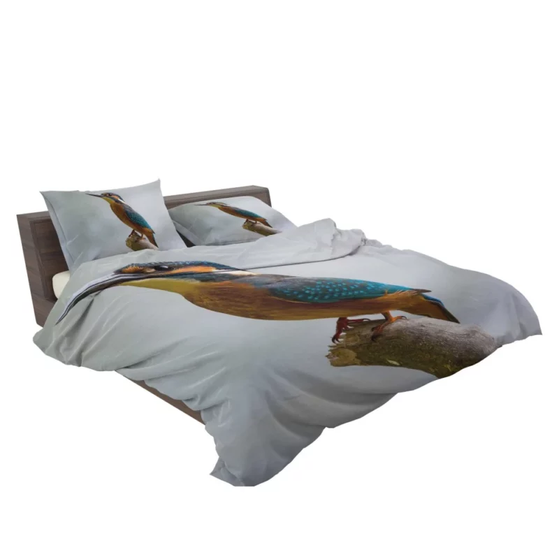 Kingfisher Waterside Charm Aquatic Wonder Bedding Set 2