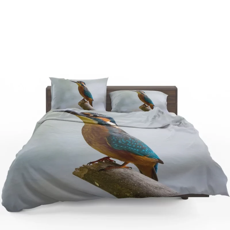 Kingfisher Waterside Charm Aquatic Wonder Bedding Set