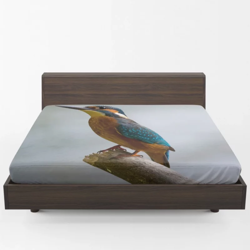 Kingfisher Waterside Charm Aquatic Wonder Fitted Sheet