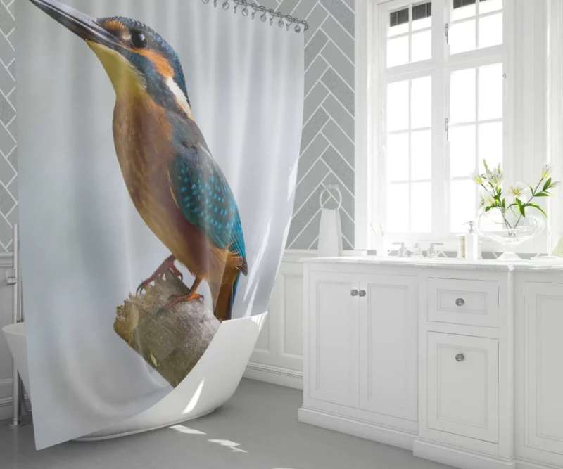 Kingfisher Waterside Charm Aquatic Wonder Shower Curtain 1