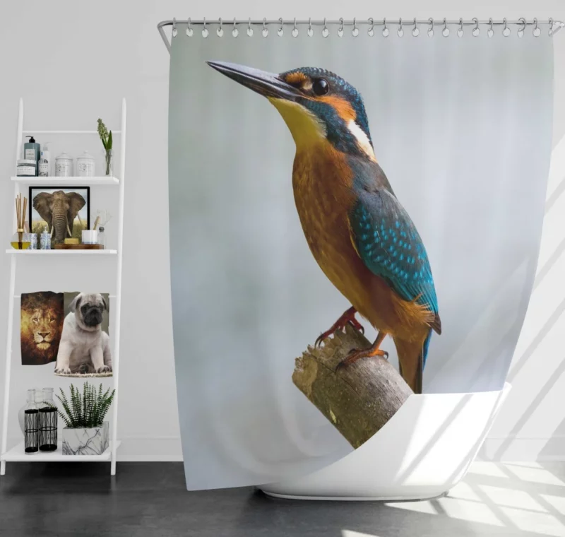 Kingfisher Waterside Charm Aquatic Wonder Shower Curtain