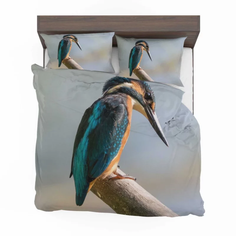 Kingfisher Waterside Perch Avian Watcher Bedding Set 1