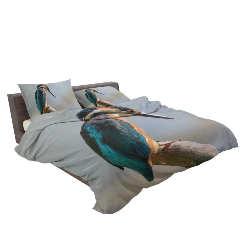 Kingfisher Waterside Perch Avian Watcher Bedding Set 2