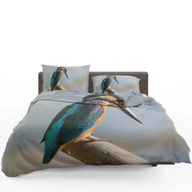 Kingfisher Waterside Perch Avian Watcher Bedding Set