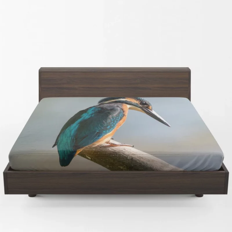 Kingfisher Waterside Perch Avian Watcher Fitted Sheet