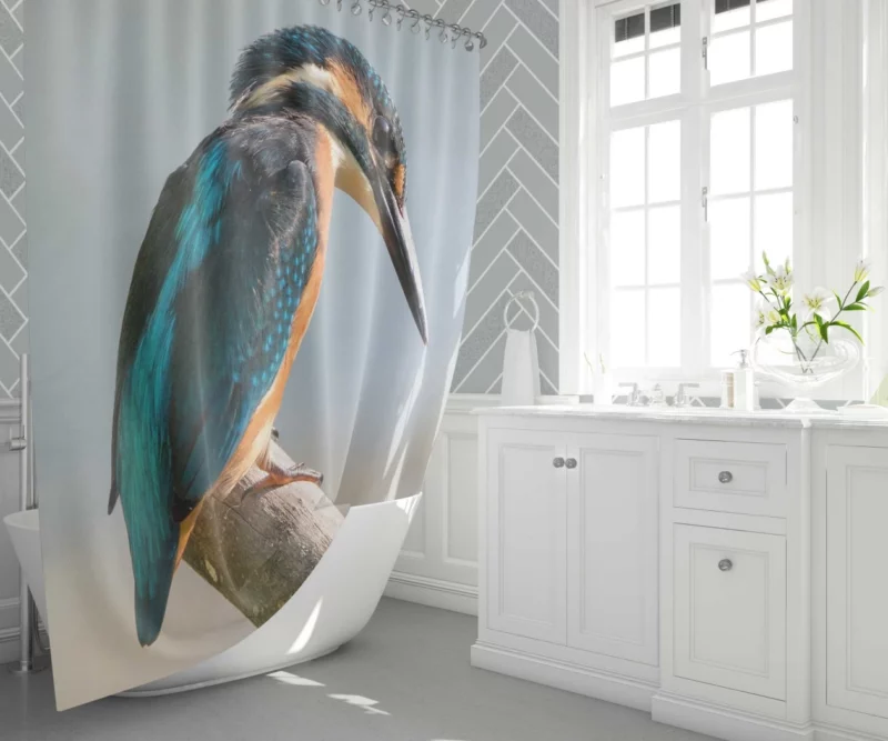 Kingfisher Waterside Perch Avian Watcher Shower Curtain 1