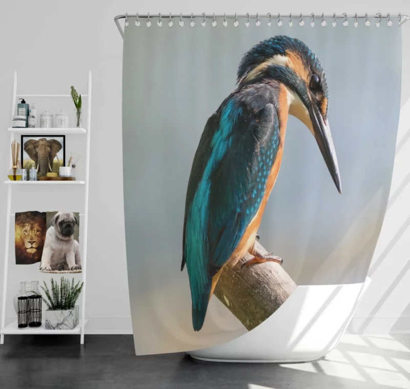 Kingfisher Waterside Perch Avian Watcher Shower Curtain